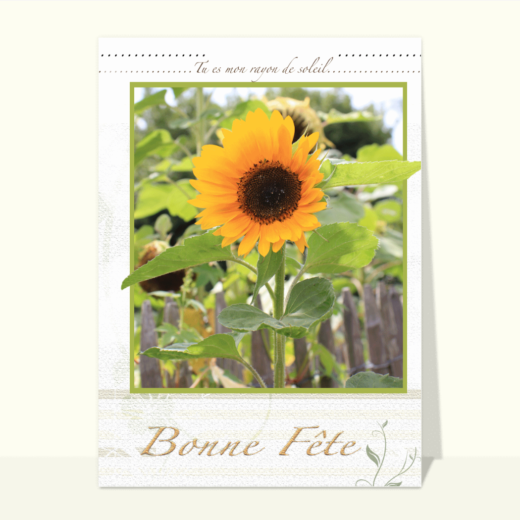 T-shirt Homme Kill City à Manches Courtes - Jersey Doux Avec Bande Graphique