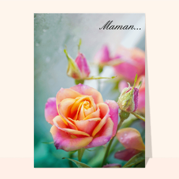 Un simple maman