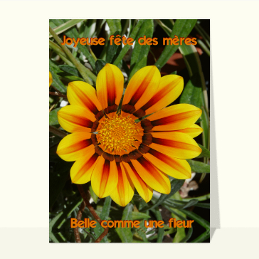 Fête des mères : Maman belle comme une fleur