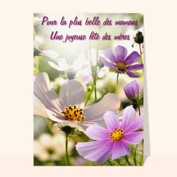 Pour la plus belle des mamans