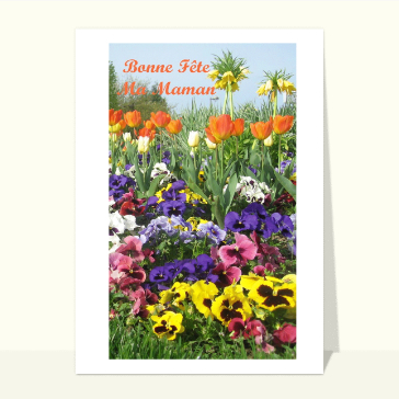 Carte fête des mères avec des fleurs : Bonne fete ma maman et champs de fleurs
