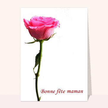 Rose bonne fete maman