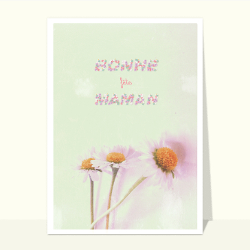 Pâquerettes bonne fête maman