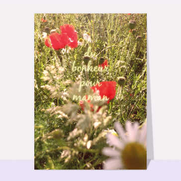Coquelicots et bonheur pour maman