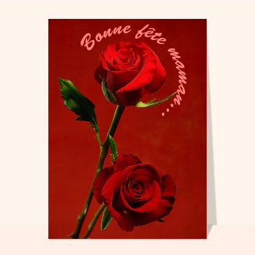 Rose et fete des meres