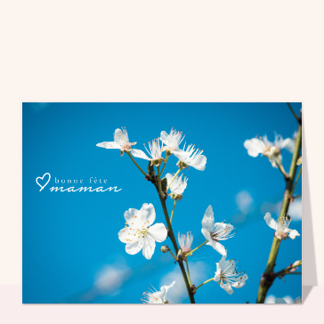 Fête des mères et fleurs de poirier