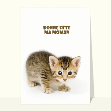 Carte fête des mères pour enfant : Bonne fête ma môman et petit chat