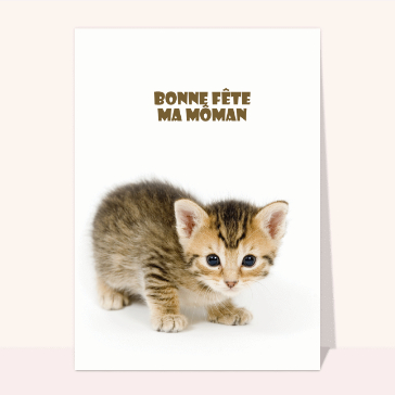 Bonne fête ma môman et petit chat