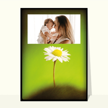 Fête des mères : Pâquerette sur fond vert