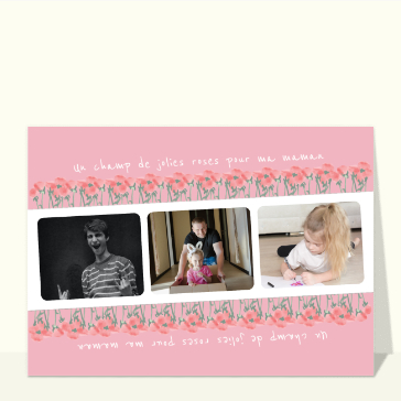 Un champ de jolies roses pour maman