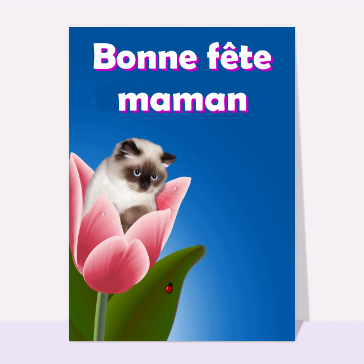 Carte fête des mères avec des animaux : Bonne fête maman petit chaton