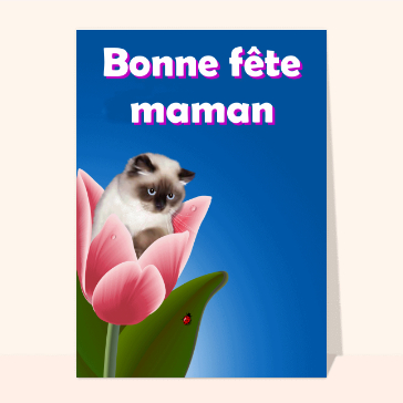 Bonne fête maman petit chaton