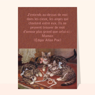 Chatons avec une citation