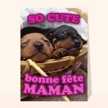 So cute bonne fête maman