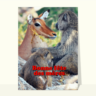 Les singes et la gazelle