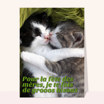 Le câlin des petits chatons