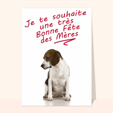 Le toutou bonne fête des mères