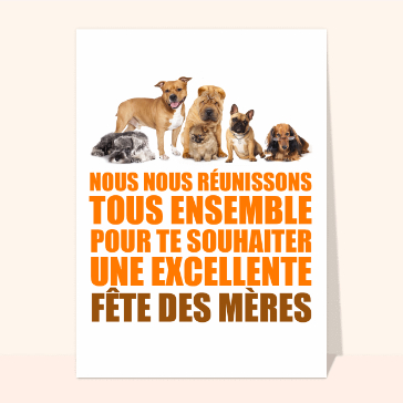 Les animaux tous réunis