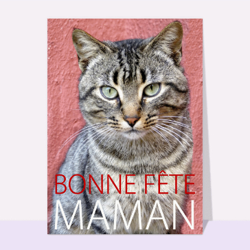 Le chat bonne fête maman