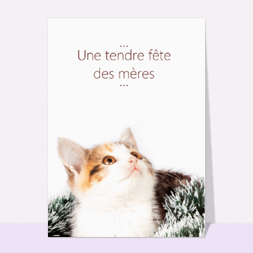 Fête des mères : Une tendre fête des mères