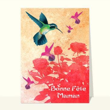 Colibri bonne fete maman