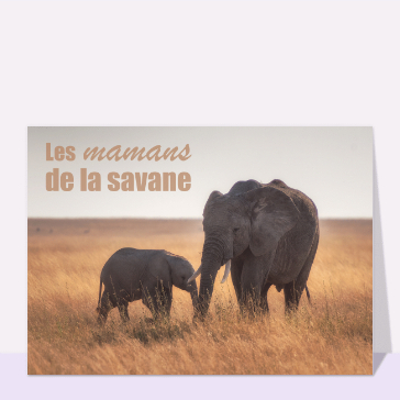 Carte fête des mères avec des animaux : Les mamans de la savane