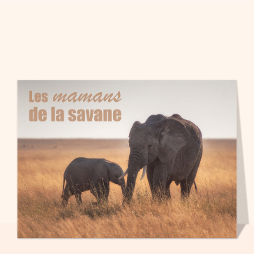 Les mamans de la savane