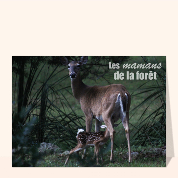 Les mamans de la forêt