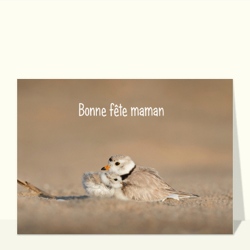 Maman les petits oiseaux