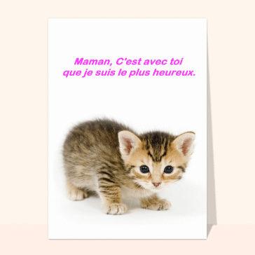 Fete des meres chaton