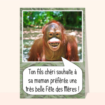 Le fils chéri à sa maman préférée
