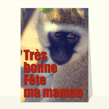 Le singe souhaite une bonne fête