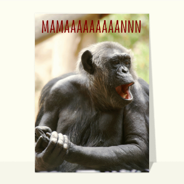 Fête des mères : mamaaaannnnnn