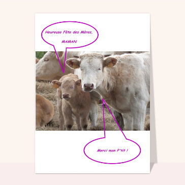Heureuse fete des meres maman vache