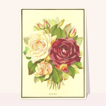 carte ancienne fête des mères : Des roses pour maman