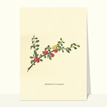 Une branche fleurie pour maman