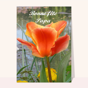 carte de fête des pères : Fete des peres et tulipe