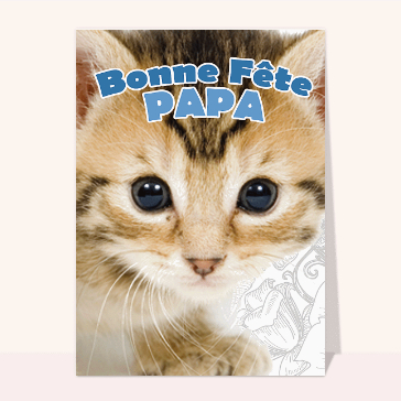 Chaton en gros plan