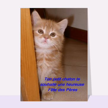 Petit chaton fete des peres