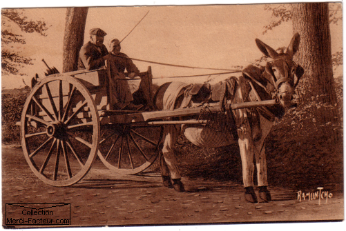 ane avec culotte à l'ile de Ré sur une carte postale ancienne