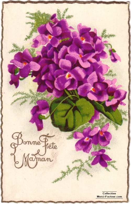 Bonne fete Maman violettes