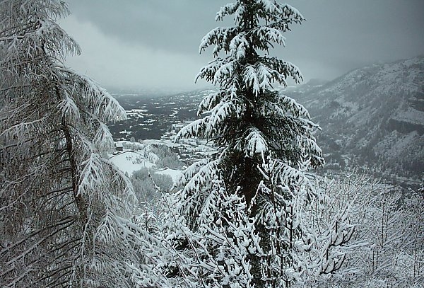 paysage de neige pour le fond de la carte saint valentin