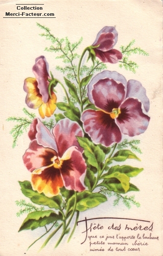 Carte ancienne fleurs violette fête des mères