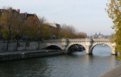 Rives de la Seine à Paris France