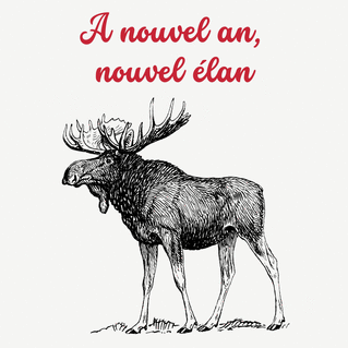 carte À nouvel an, un élan plein d'humour ! 