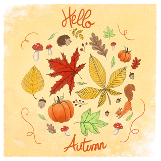 carte Automne coloré avec écureuil et citrouilles 