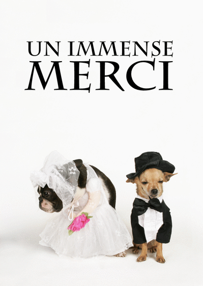 Carte Un Immense Merci Mariage : Envoyer une Carte 