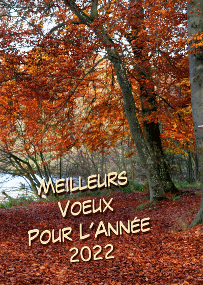 Carte Meilleurs Voeux 21 Dans La Nature Envoyer Une Vraie Carte De Voeux 22 Des 0 99 Merci Facteur