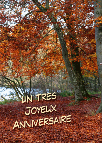 Carte Joyeux Anniversaire Dans Les Bois : Envoyer une 