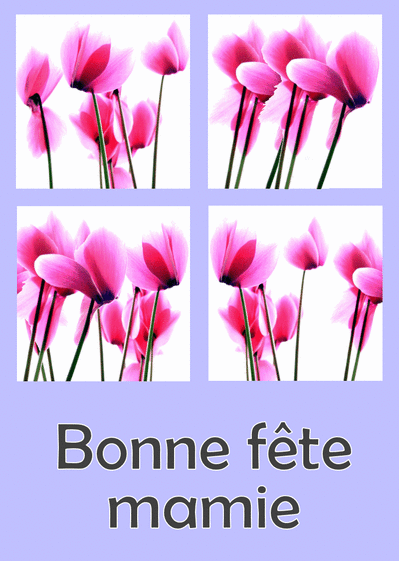 Carte Fete Des Grand Meres Avec Orchidees Envoyer Une Carte Fete Des Grand Meres Des 0 99 Merci Facteur Carte Fete Des Grand Meres Avec Orchidees Envoyer Une Carte Fete Des Grand Meres Des 0 99 Merci Facteur